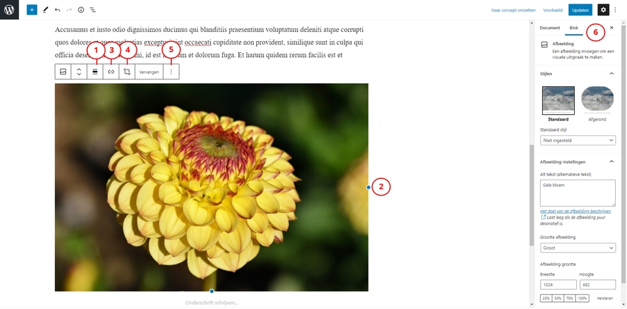 afbeelding bewerken in wordpress